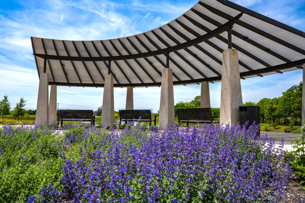 4 Reasons to Move to Collin County, Texas